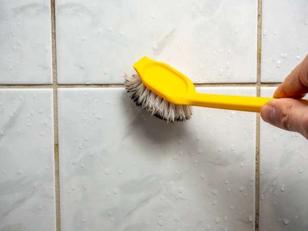 Best Localized Mold Remediation (e.g., coastal areas, humid climates) in Pine Lawn, MO